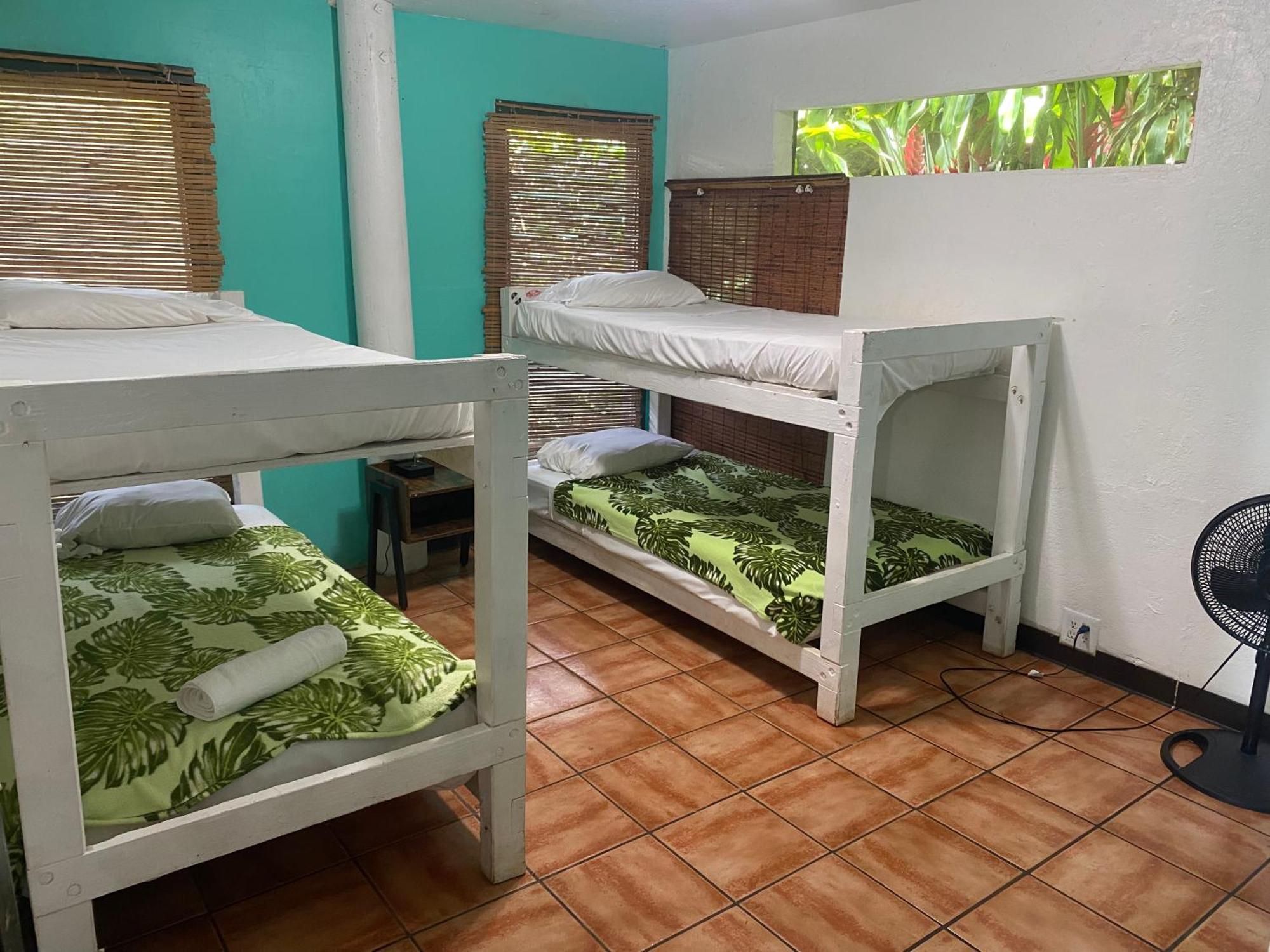 Backpackers Vacation Inn And Plantation Village Pupukea Esterno foto